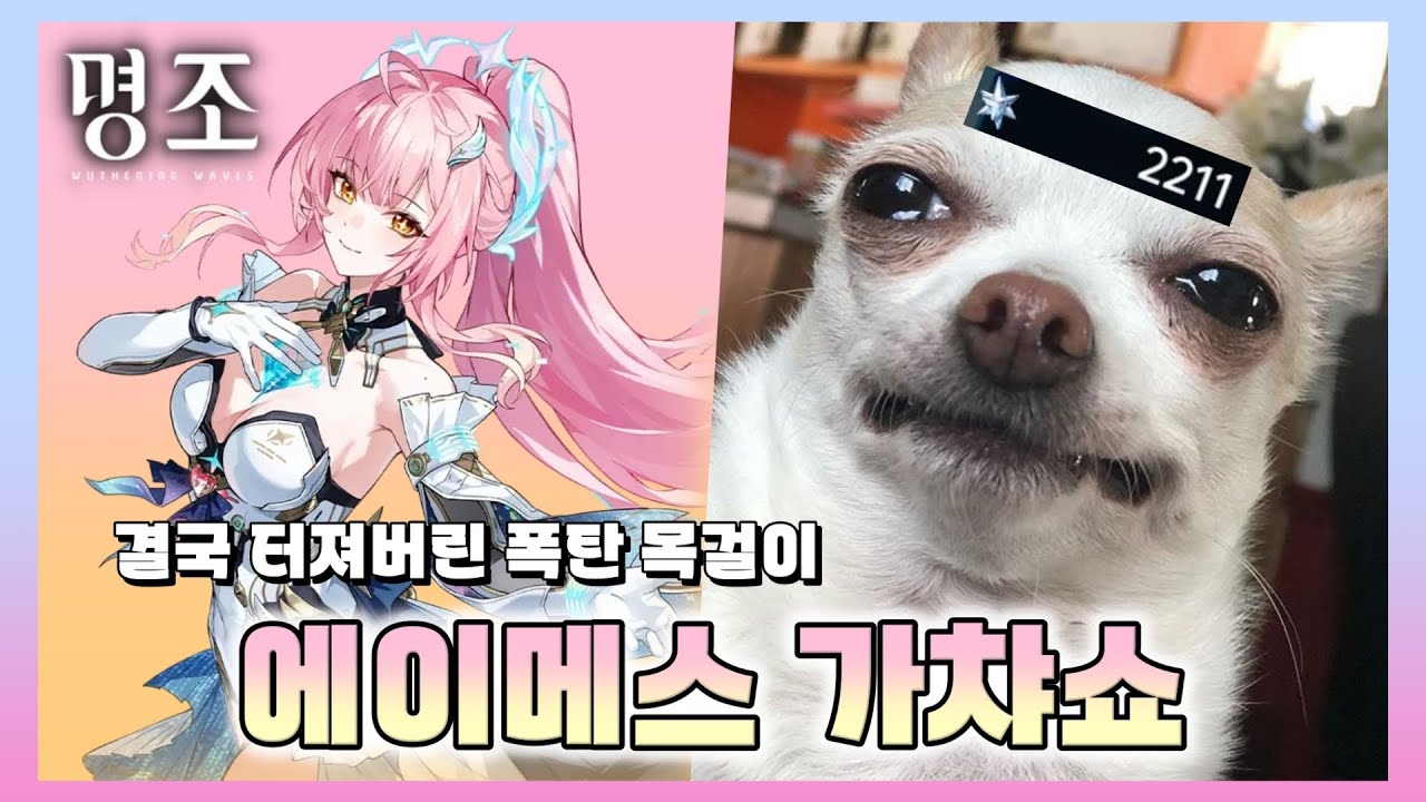 [명조] 결국 폭탄 터져버린 사람 [에이메스 가챠쇼]