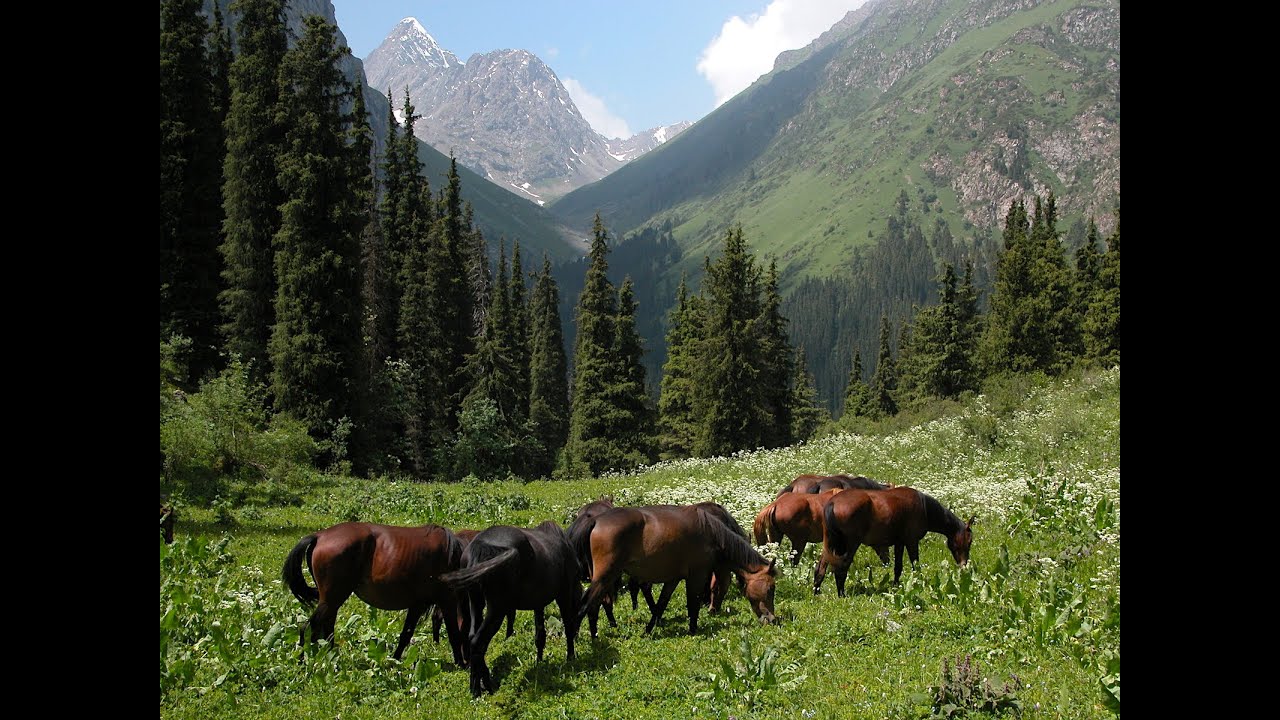 Ысык-Көл || Иссык-Куль, Каракольское ущелье || Karakol gorge