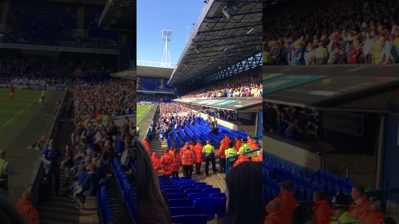 Sheffield Wednesday Fans Celebrating Going 1-0 Up At Ipswich!!!