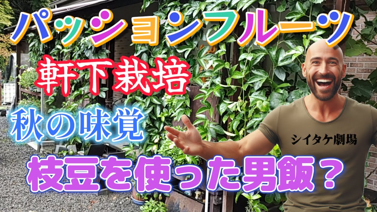 お庭でパッションフルーツ栽培！秋の絶品枝豆料理とは？