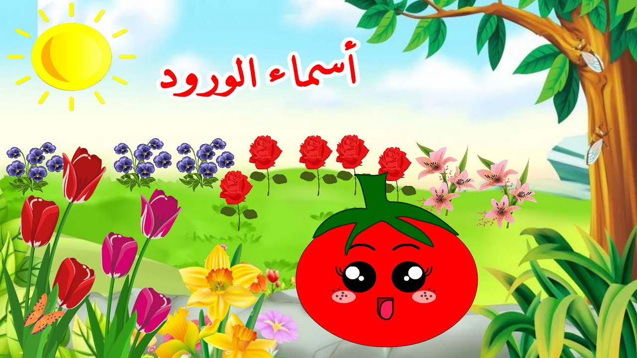 أسماء الورود - أسماء الأزهار - تعليم الأطفال أنواع الورود - باللغة العربية