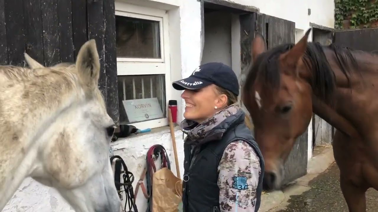 Protahování koní před prací 🐎 Práce ze země na jízdárně ✻ klus ✻ cval ✻ Jaru a Šárka | VLOG