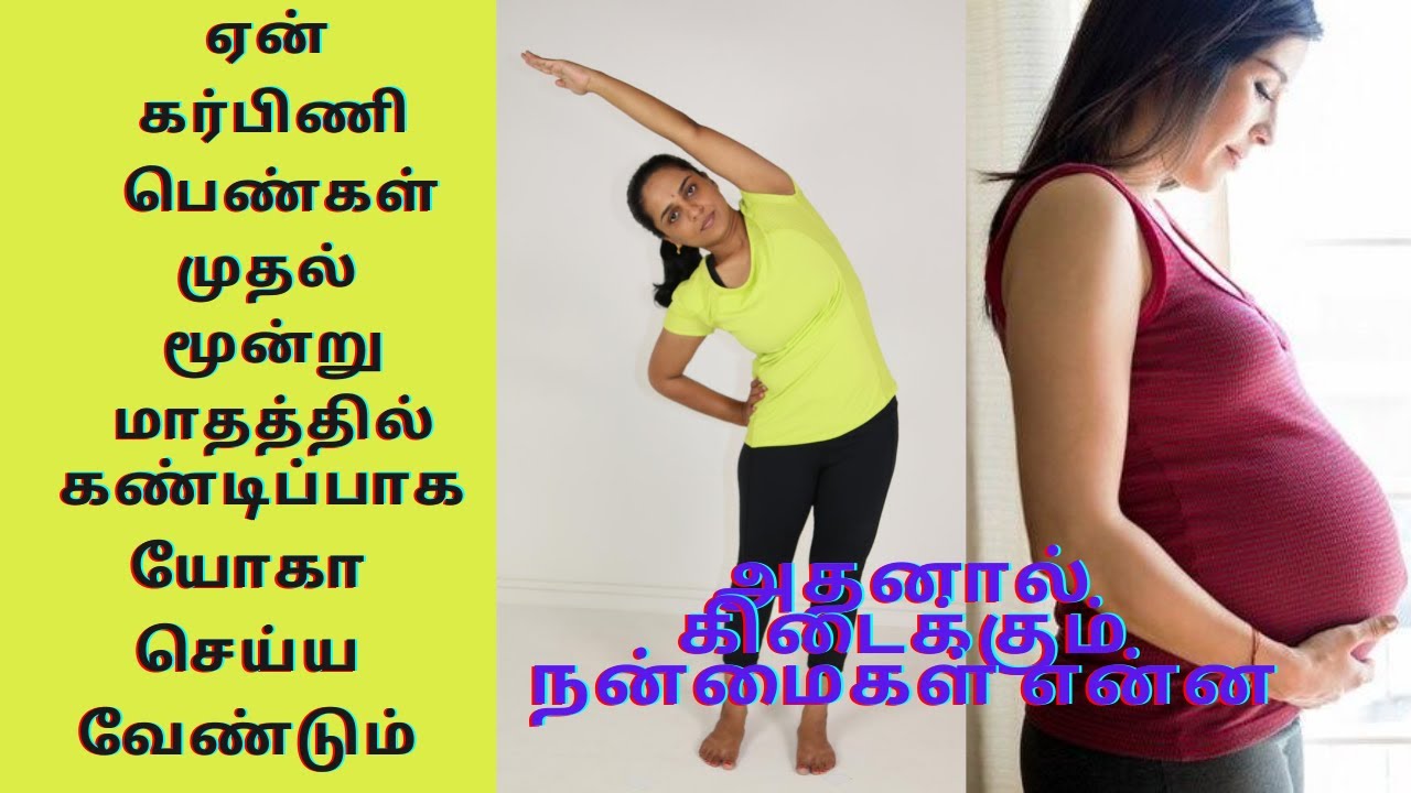 Pregnancy yoga- first trimester| கர்பிணி பெண்கள் முதல் 12 வாரங்களுக்கு செய்யவேண்டிய யோகா Dr Lakshmi