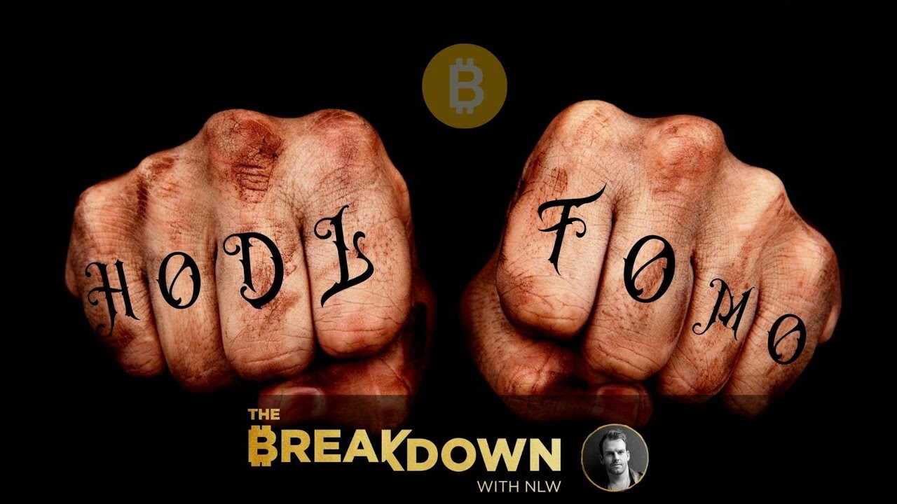 HODL FOMO vs. Speculative FOMO: Why This Bull Market Will Be Different