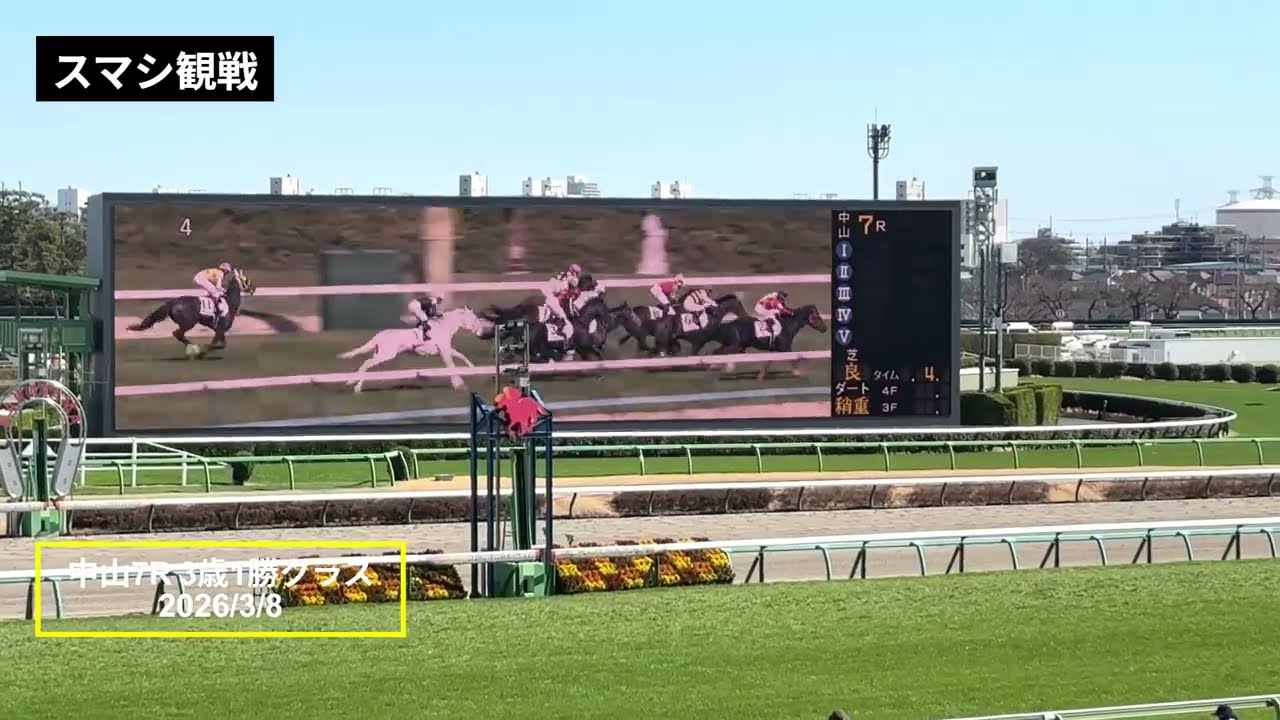 2026年3月8日 | 中山7R 3歳1勝クラス | ディールメーカー | サーディンラン | ランズダウンロード | 現地レース映像 | 中山競馬場 | スマシ観戦 | 芝1,600
