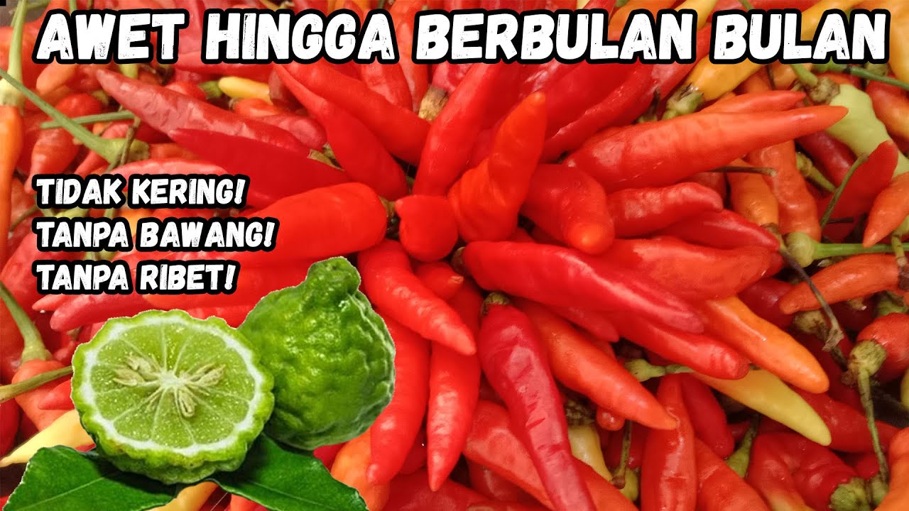 Cara Simpan Cabe & Jeruk Sambal/PurutTetap Segar Hingga Berbulan-bulan