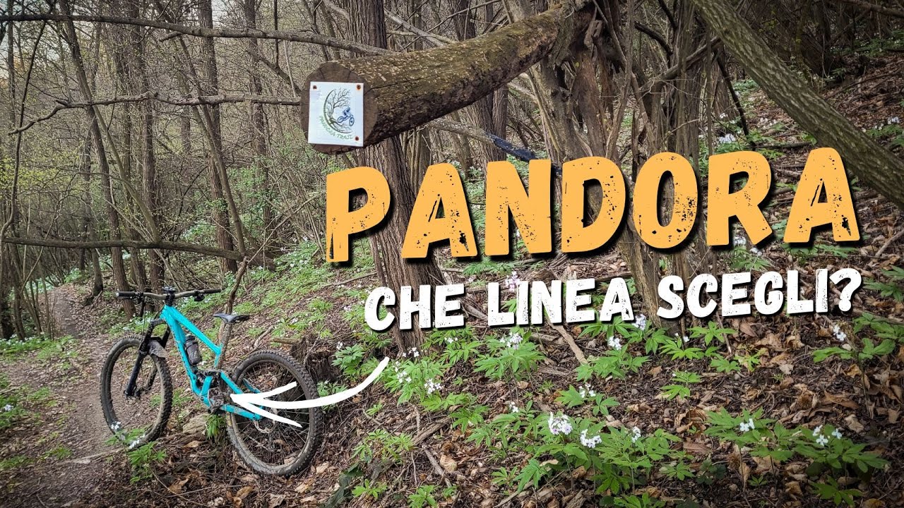 Pandora Trail - MTB Torino - Tante discese in poco tempo!