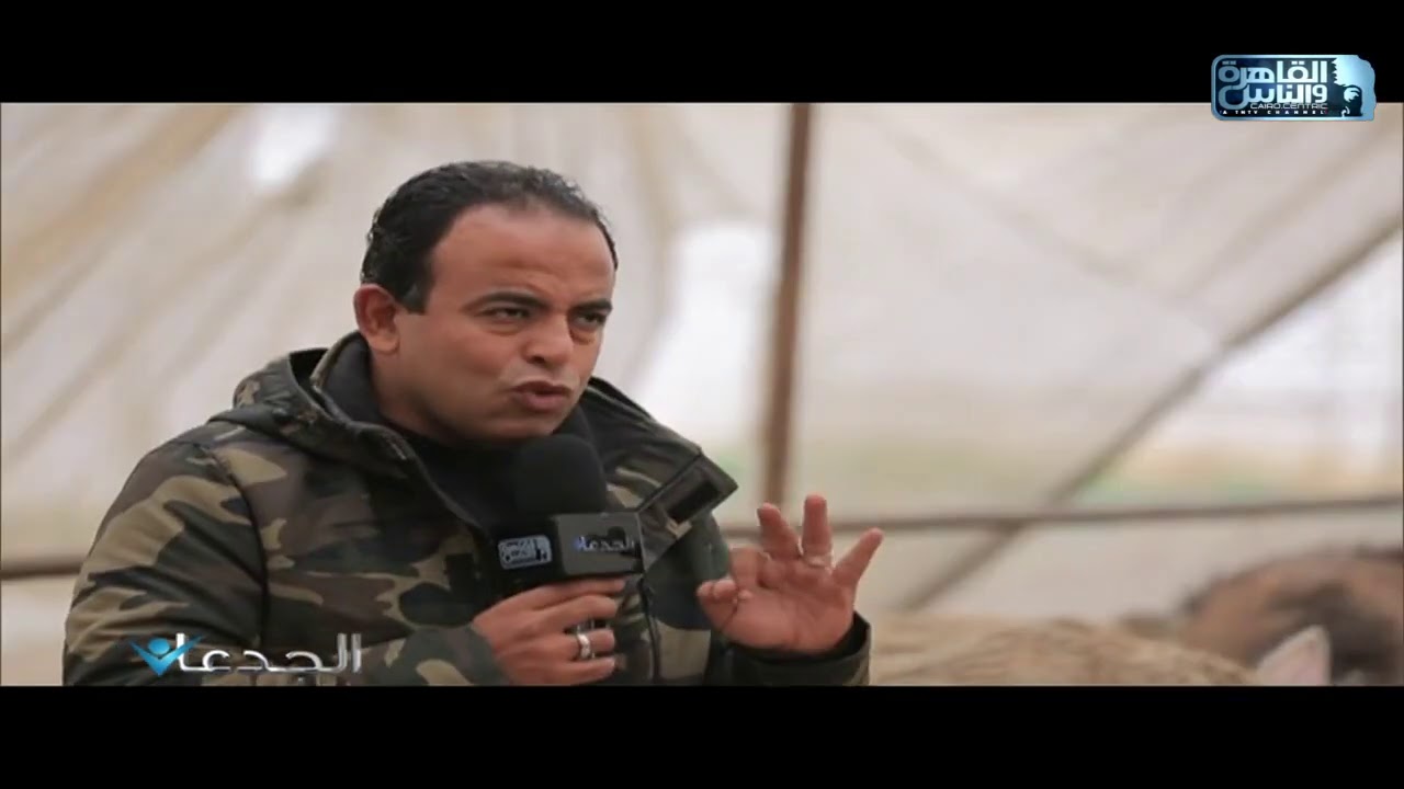 السيد عاطف هيحكي تجربته مع المياه الخضراء 