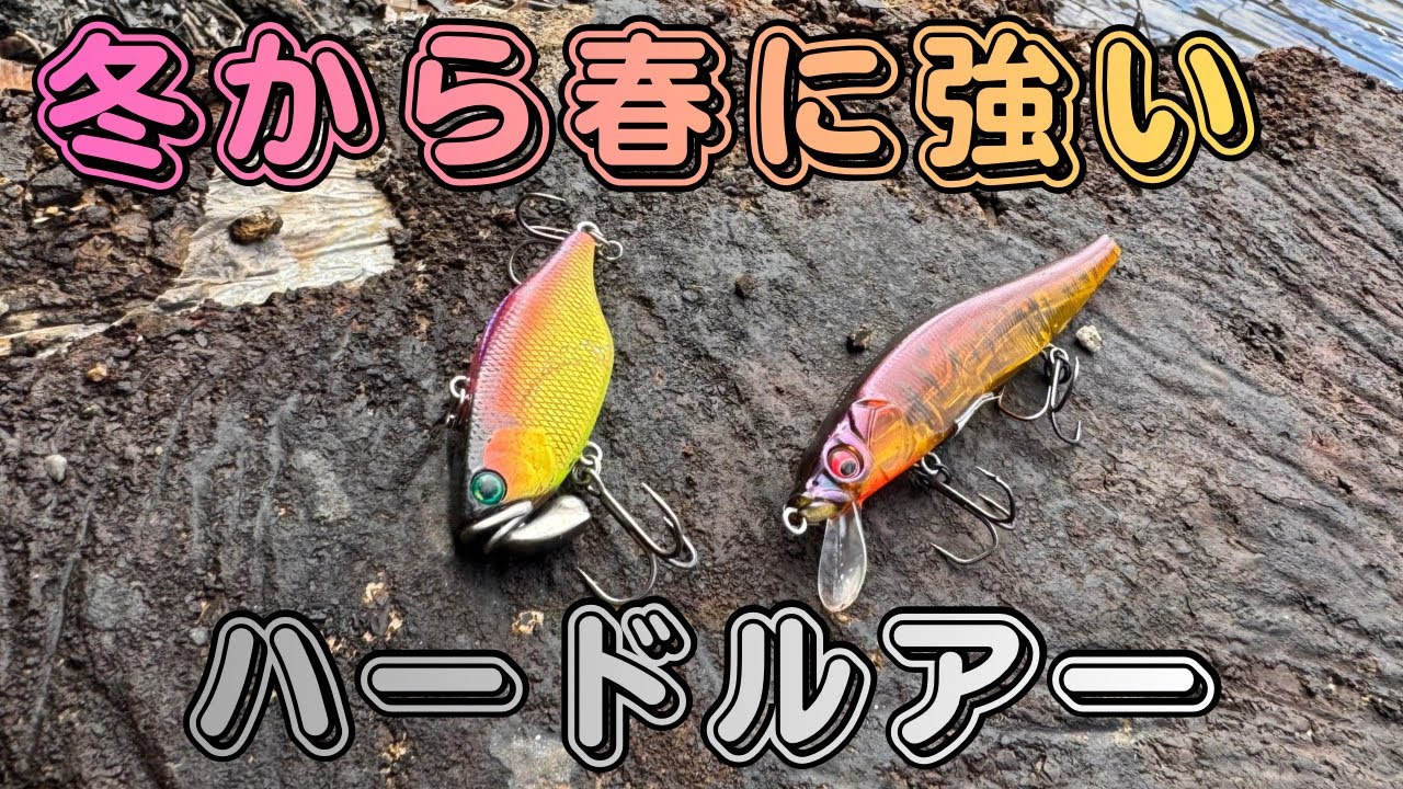 【バス釣り】これからの時期強いルアー【ジャークベイト】【バイブレーション】の釣れる使い方、セッティングを解説しながら実釣したら簡単に釣れました。【ハードルアーで釣りたいなら今】