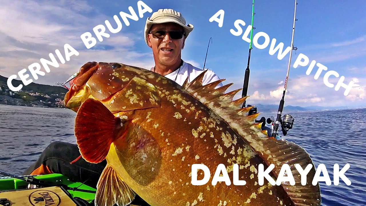 BERGEGGI - CERNIA BRUNA A SLOW PITCH DAL KAYAK