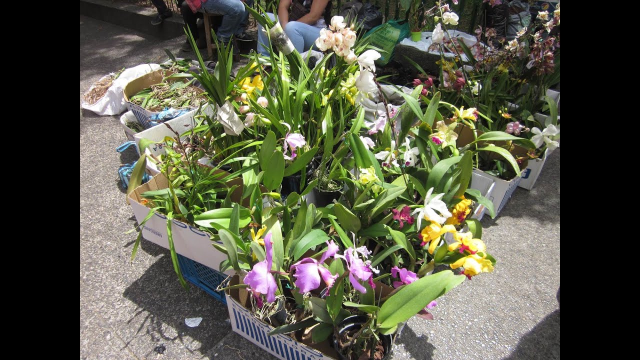 Sanalejo Flea Market: June 2015