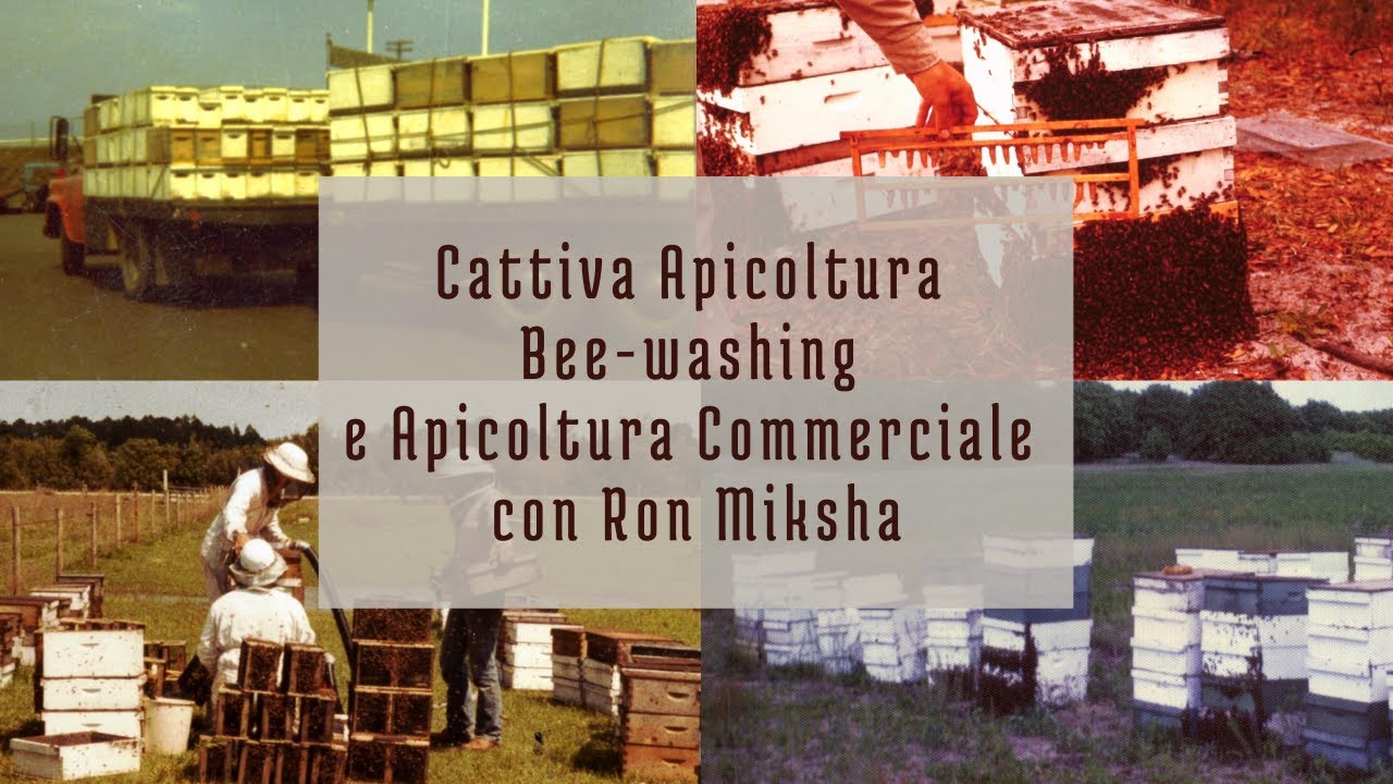 Cattiva apicoltura, bee-washing e apicoltura commerciale con Ron Miksha - Le Inter-BEE-ste
