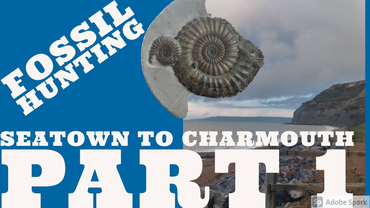 Seatown to Charmouth - Dorset coast fossil hunting part 1