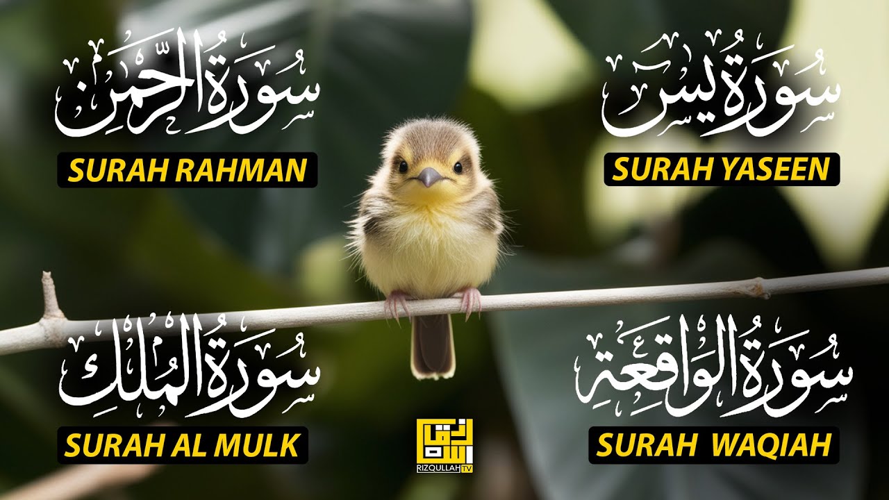 The Best Recitation Surah Yaseen (Yasin) | Surah Rahman | Surah Waqiah | Surah Mulk EP100