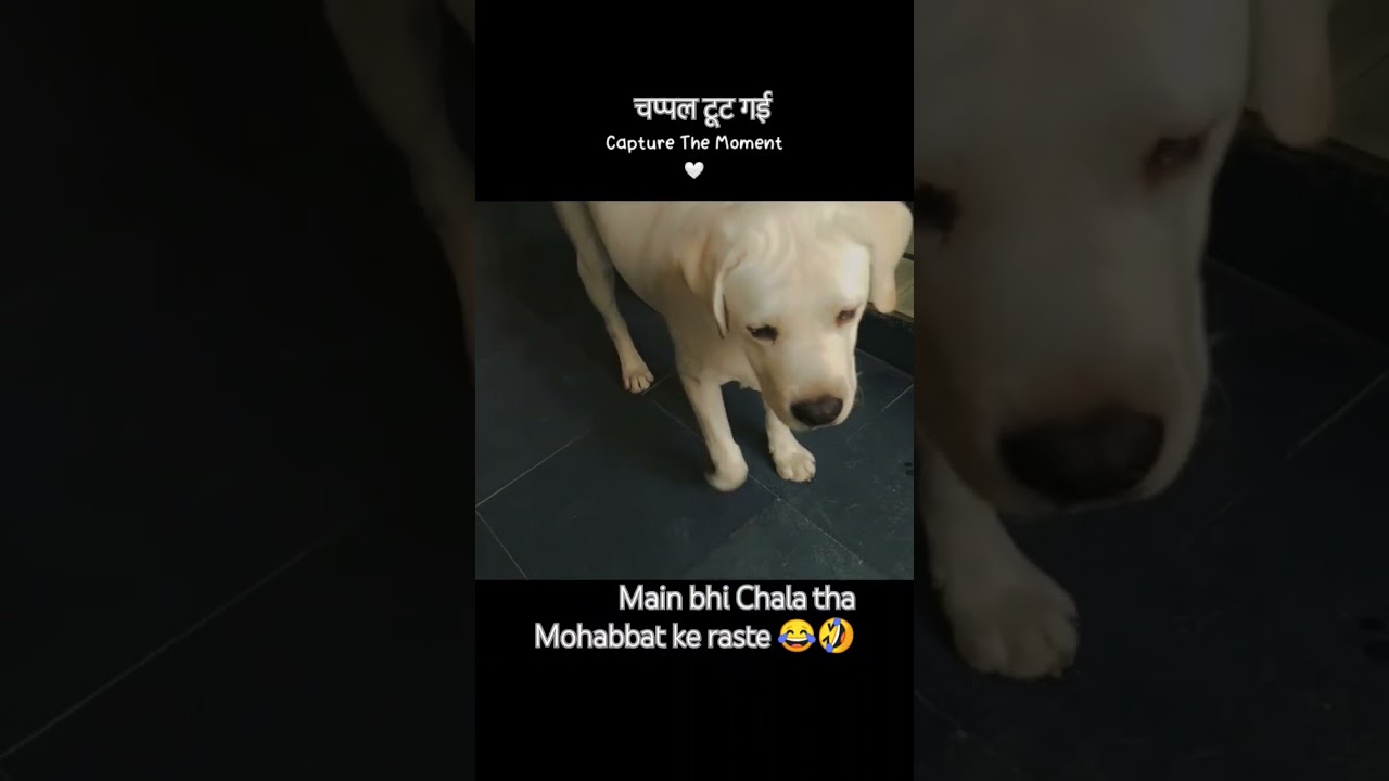 main bhi Chala tha Mohabbat ke raste चप्पल टूट गई 😂