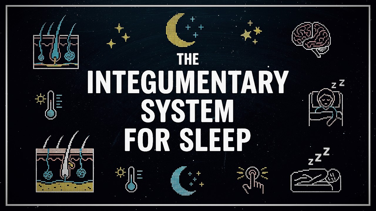 Anatomy and Physiology For Sleep: The Integumentary System To Fall Asleep To