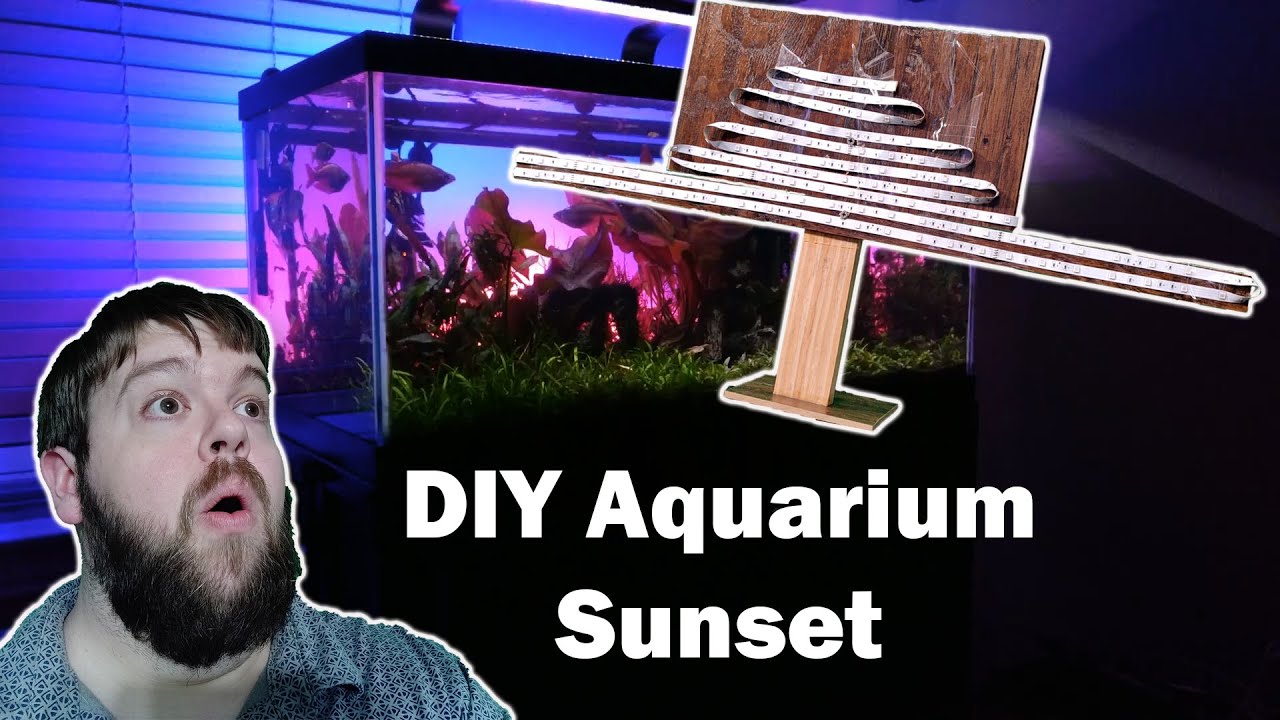 Amazing Sunset Effect with CHEAP WiFi-enabled Aquarium Background Light - DIY guide