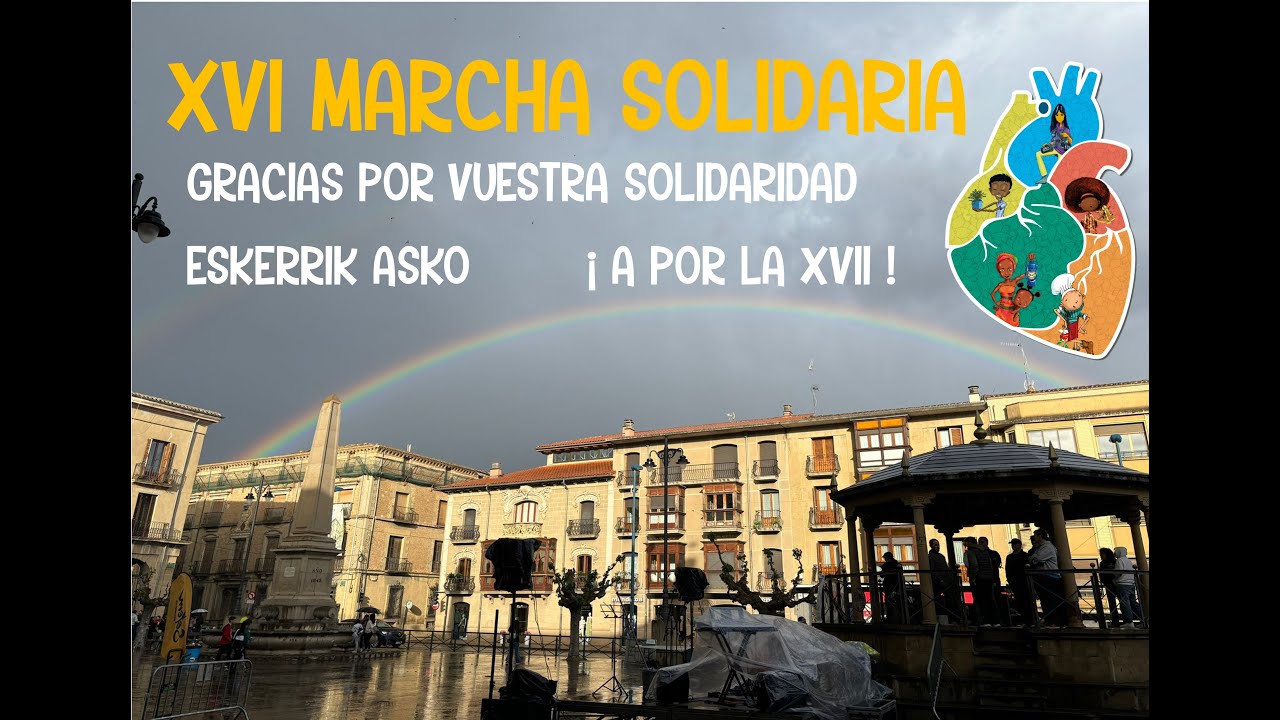 RESUMEN XVI MS24 