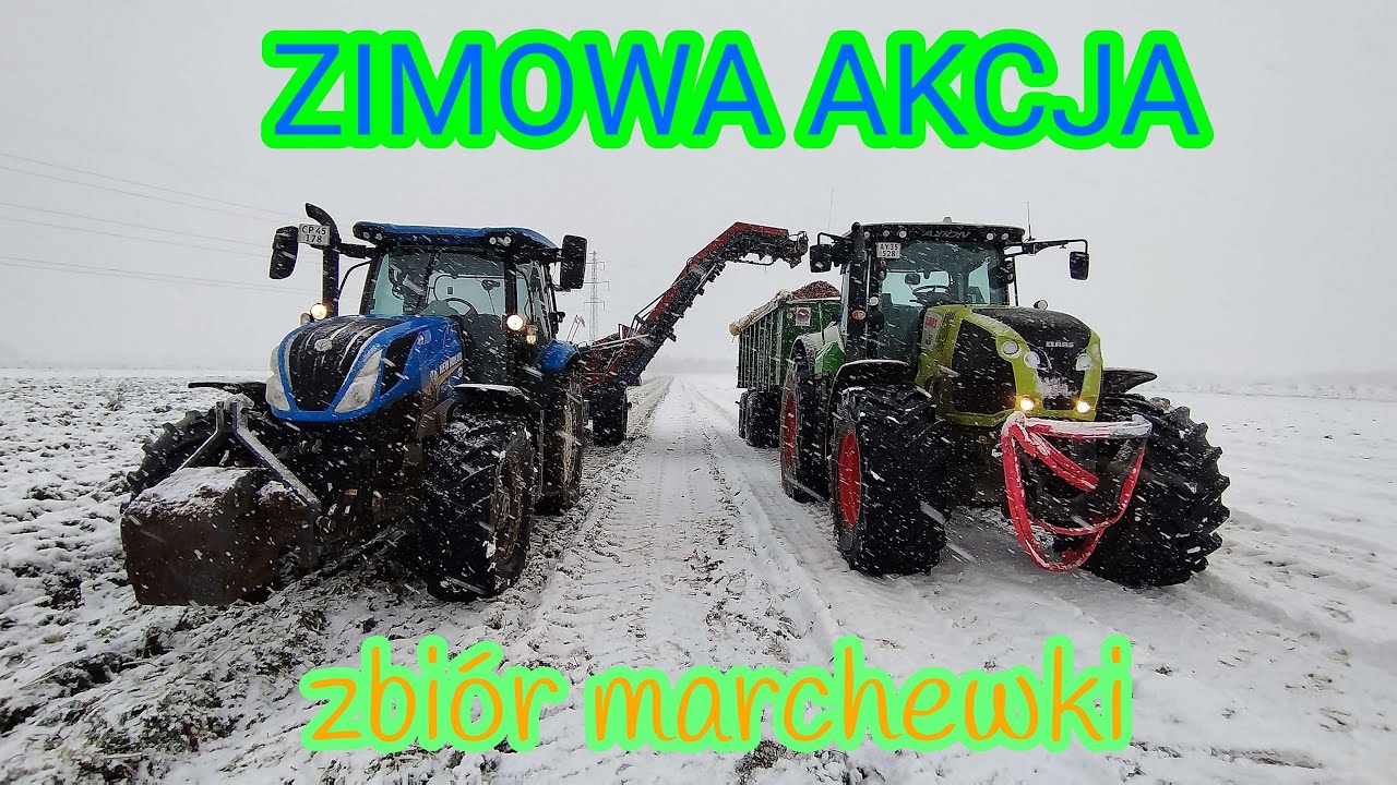 🚜🔴Awaria na polu🤬 Class Axion 870 , kopiemy marchew do kontenerów, sypie❄ jest źle ale stabilnie