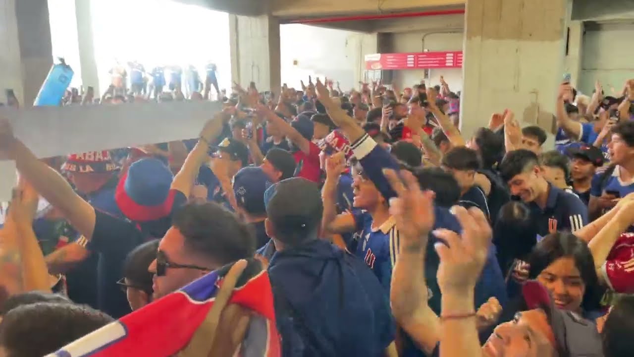 Vamos vamos vamos ! Los leones- los de abajo - udechile vs cobresal fecha1/24