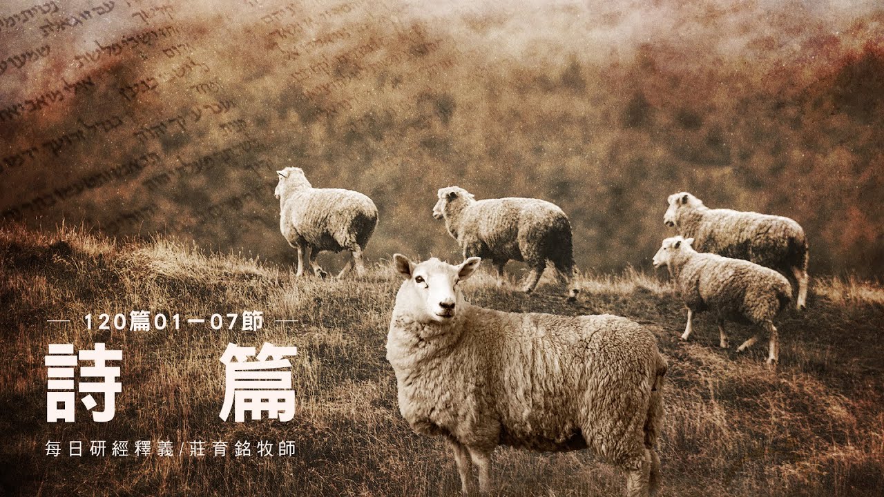 230203 詩篇 120篇1~7節 詭詐的舌頭 要加給你什麼呢