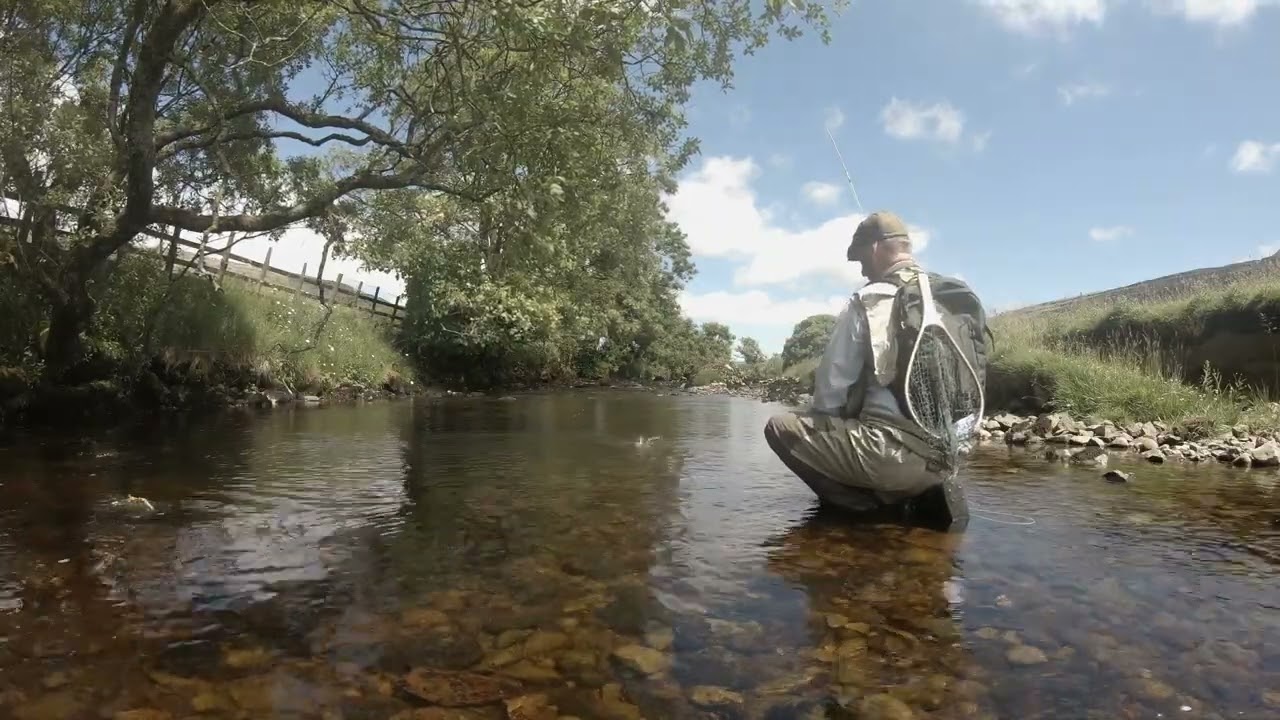 Fly Fishing - Small Victories