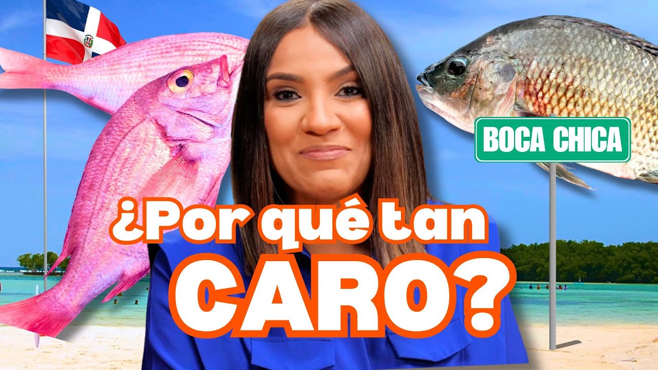 ¿Por qué pescado de BOCA CHICA es tan CARO?