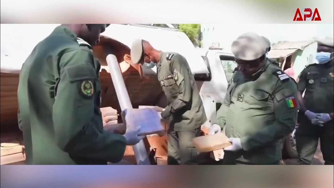 Sénégal: l’opération Douanes-Gendarmerie saisit 643 kg de cocaïne