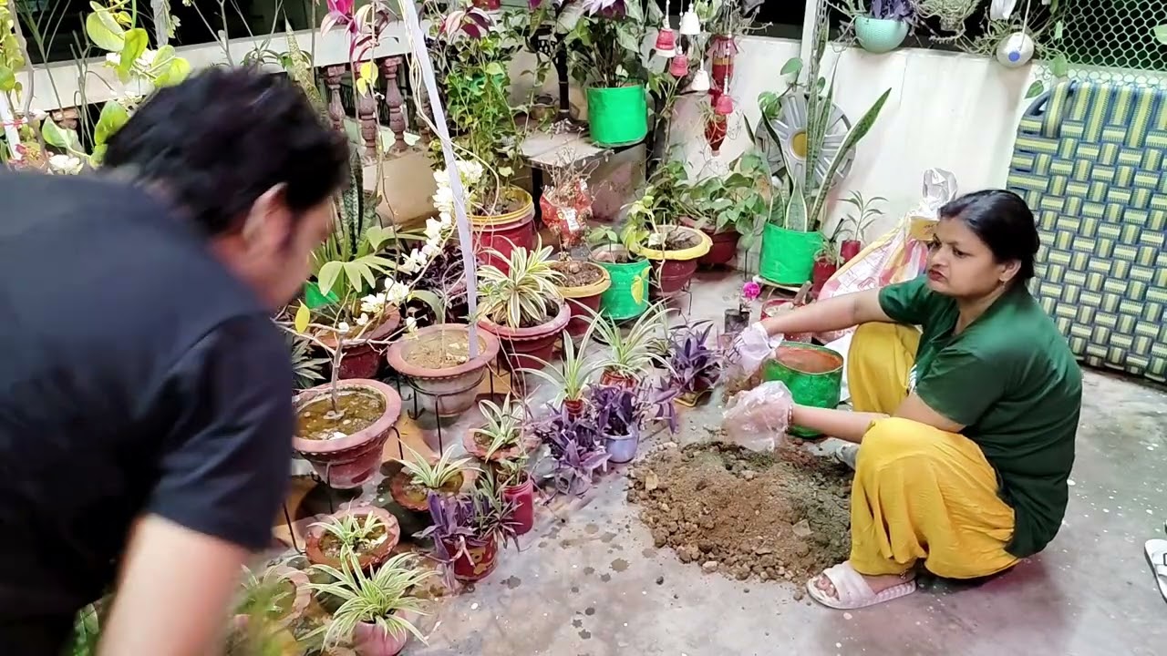 घर में खाद कैसे बनाएं #greenery #gardening #terracegardenindia #plants 
