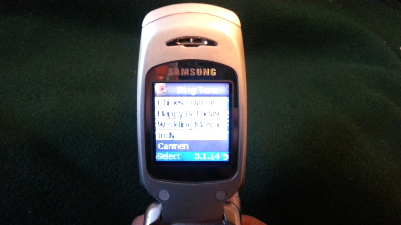 Samsung SGH-S307 Ringtones Cingular