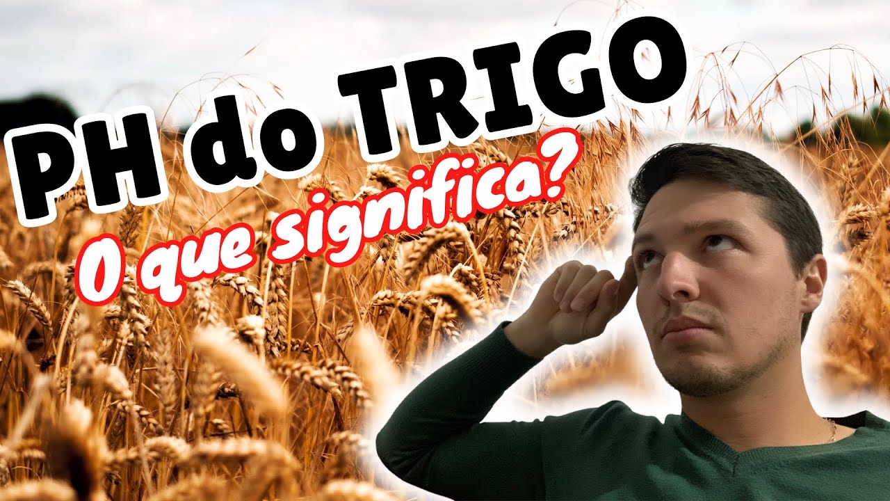 PH do TRIGO: o que significa e o que afeta??
