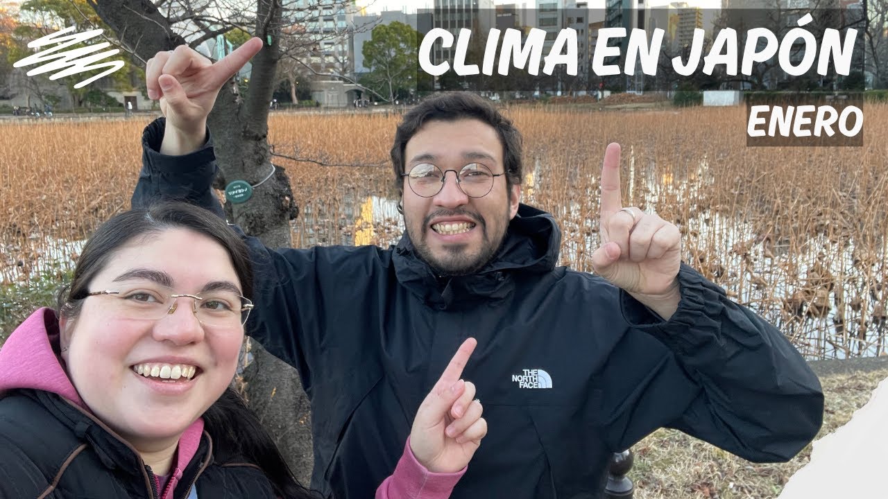 Japón en enero: Guía para viajeros