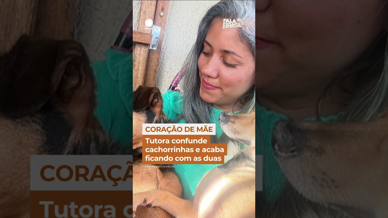 Tutora confunde as cachorras e fica com as duas #shorts #falabrasil