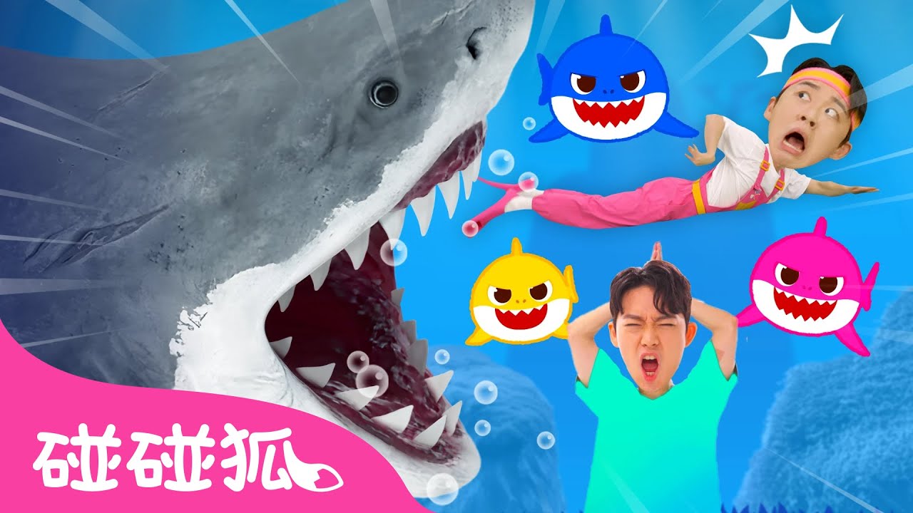 快逃啊! 鯊魚們 🦈 彩色的鯊魚寶寶 🌈  海一哥哥的遊戲教室 鯊魚家族 Baby Shark | 臺灣配音 兒歌 童謠 | 碰碰狐 Pinkfong