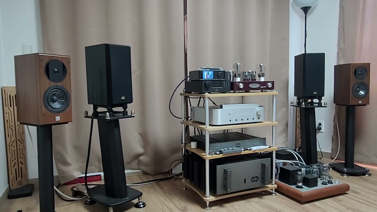 CP-306 300B / Vienna Acoustics Haydn SE - Zigeunerweisen 