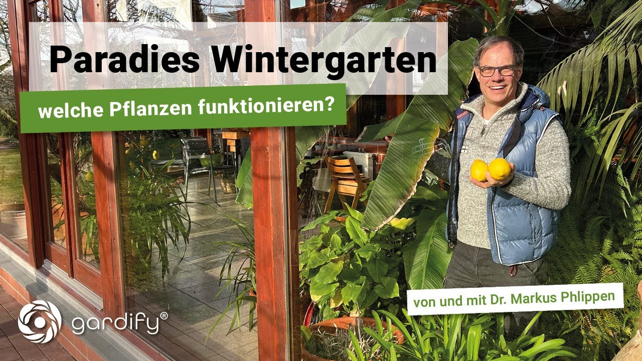 Paradies Wintergarten – Welche Pflanzen funktionieren hier? | gardify Tipps