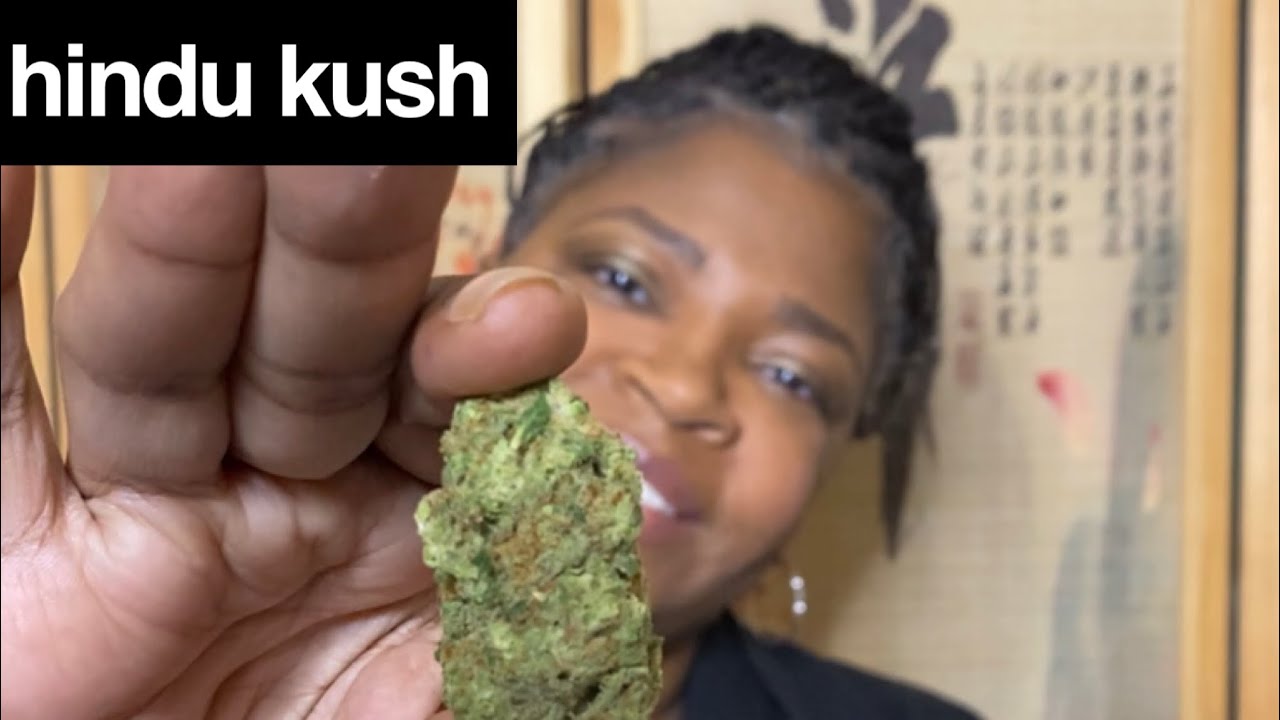 HINDU KUSH - STRAIN REVIEW