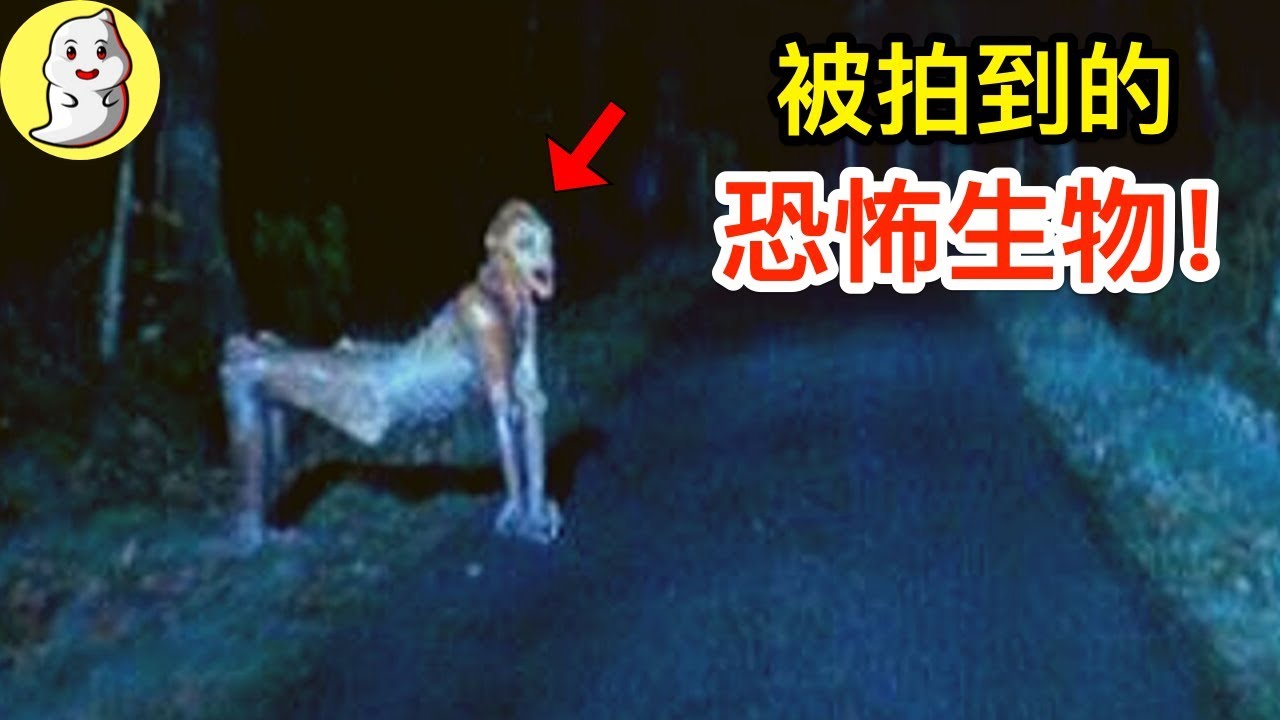 9個被拍到的恐怖生物！證明怪物真的存在！