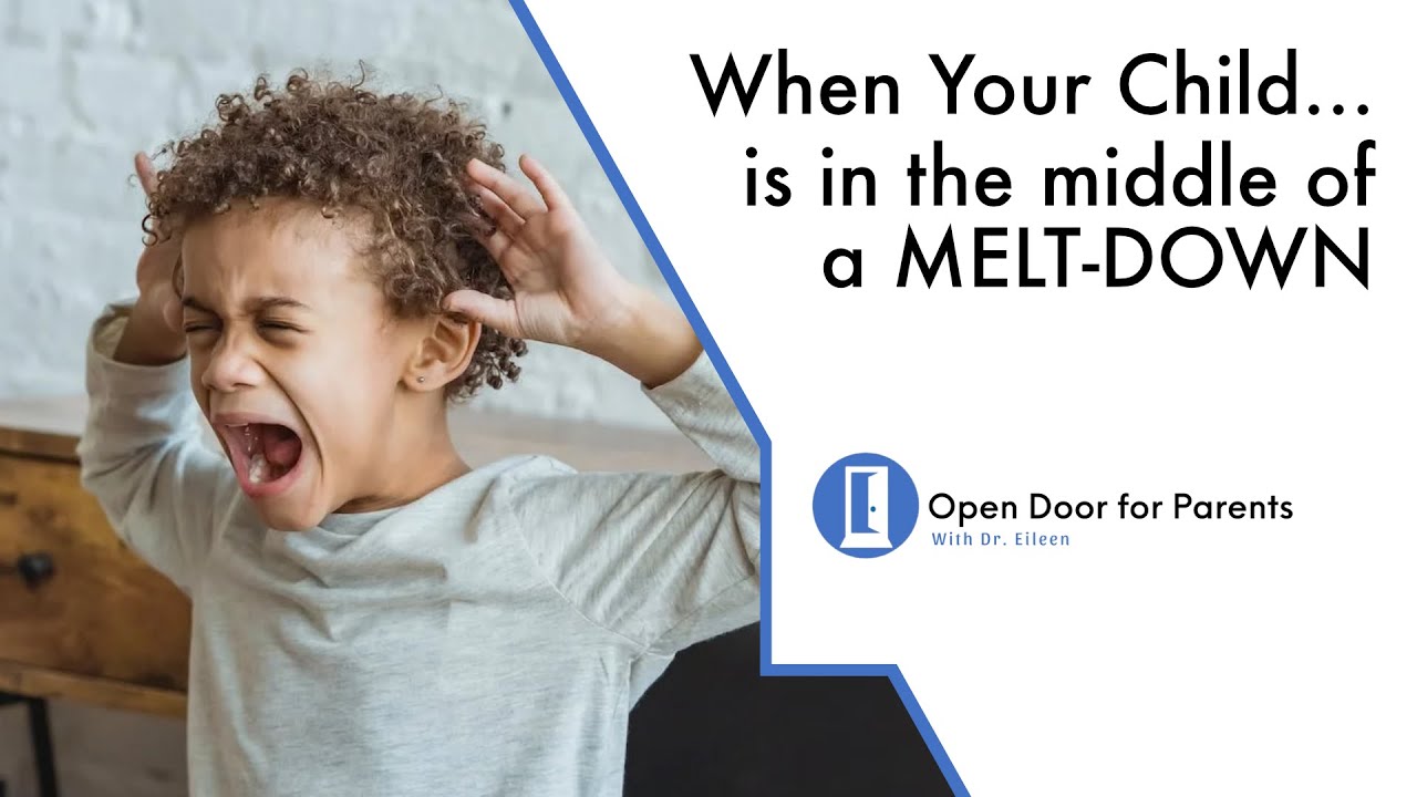 When Your Child Is in the Middle of a Meltdown