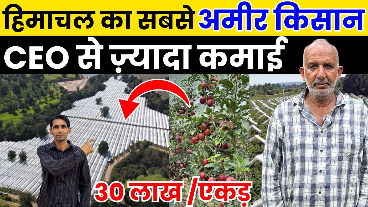 Meet Richest Farmer Of Himachal With Next Gen Agriculture Technology | Profitable Apple Farming