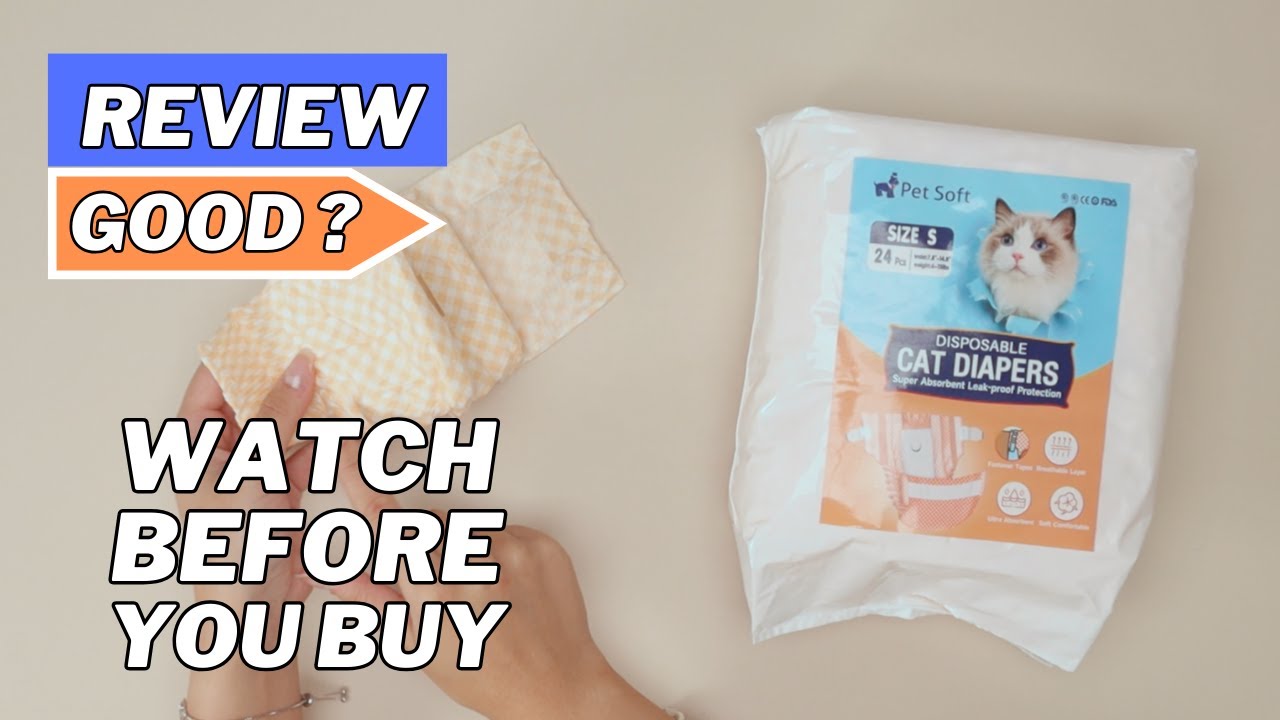 Лучшие подгузники для кошек на Amazon (Pet Soft)