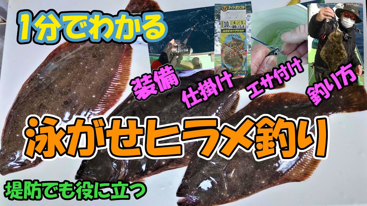 1分でわかる。泳がせヒラメ釣り。装備や仕掛け、イワシの付け方、釣り方など。堤防でも役に立つ。初めてのヒラメ船の参考に。1分解説。初心者必見。