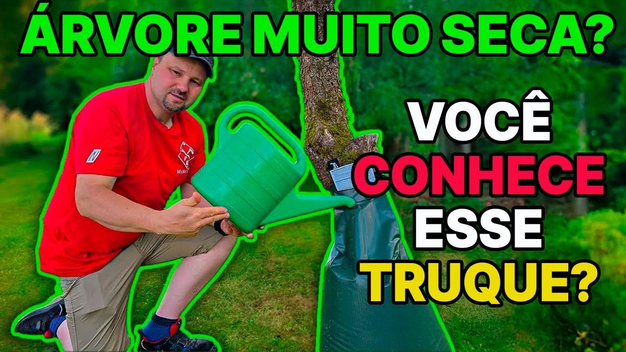 Como regar árvores corretamente: o segredo do saco de irrigação Treebag para driblar a seca