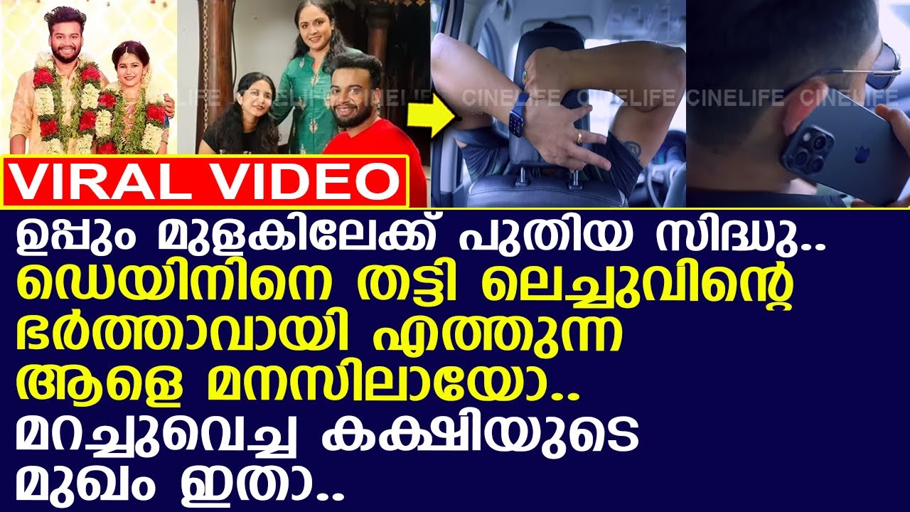 ഉപ്പും മുളകില്&zwj; പുതിയ സിദ്ധു.. ലെച്ചുവിന്റെ പുതിയ ഭര്&zwj;ത്താവിനെ മനസിലായോ..!! l Dain Davis