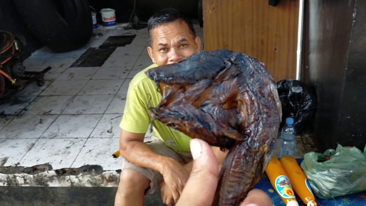 Pak JHON cincu bus ALS 270 tidak bawa krupuk orong orong..gimana nih..? || Mbah juwari dapat sedekah