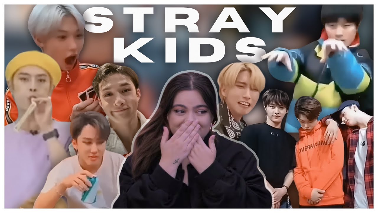 Okay they're great | Stray Kids Funny Moments REACTION