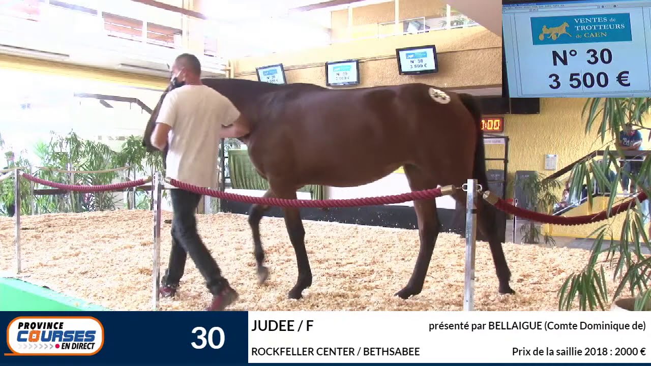 Les ventes de CAEN 2020 Jour 1 - partie B