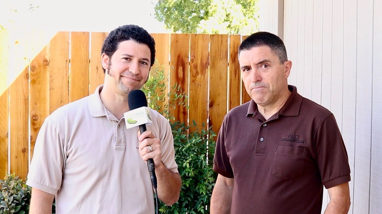 Referendum in Progress and Two Other Ways CA Dairy Producers Could Lose Quota This Year