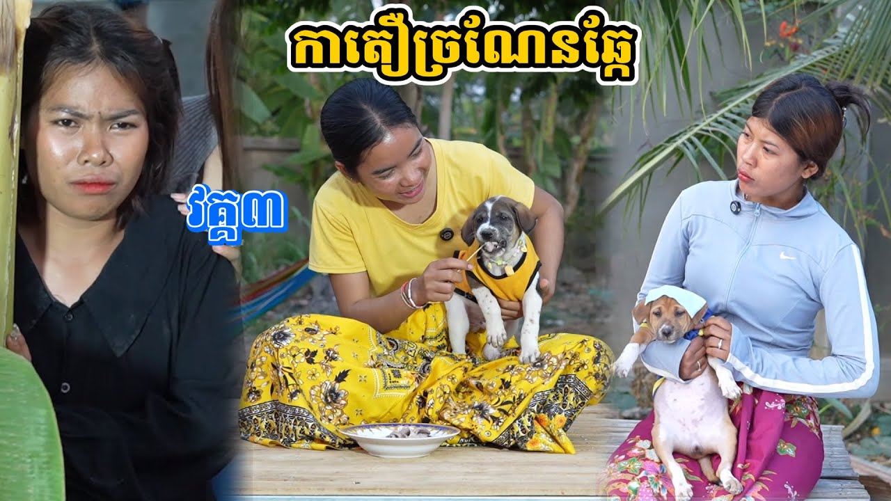 រឿង កាតឿច្រណែនឆ្កែ វគ្គ៣