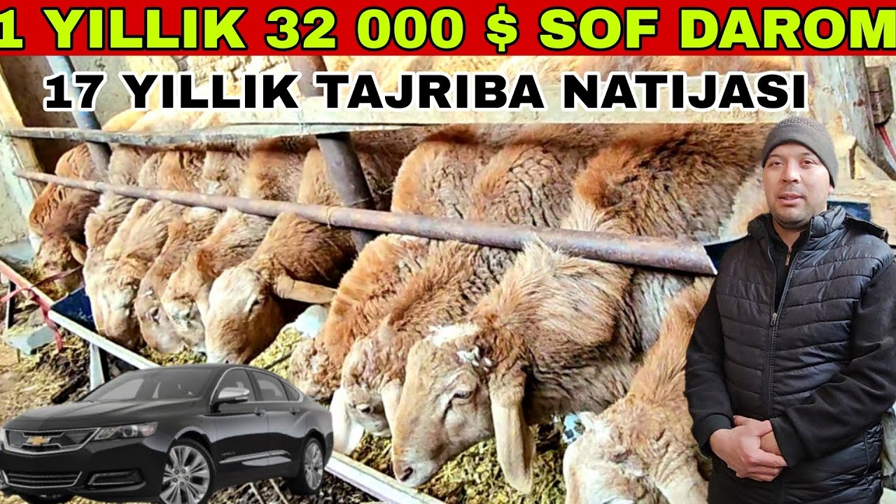 QAYSI BIRI OSONROQ BOʻRDOQICHILIK YOKI SELEKCIYA
